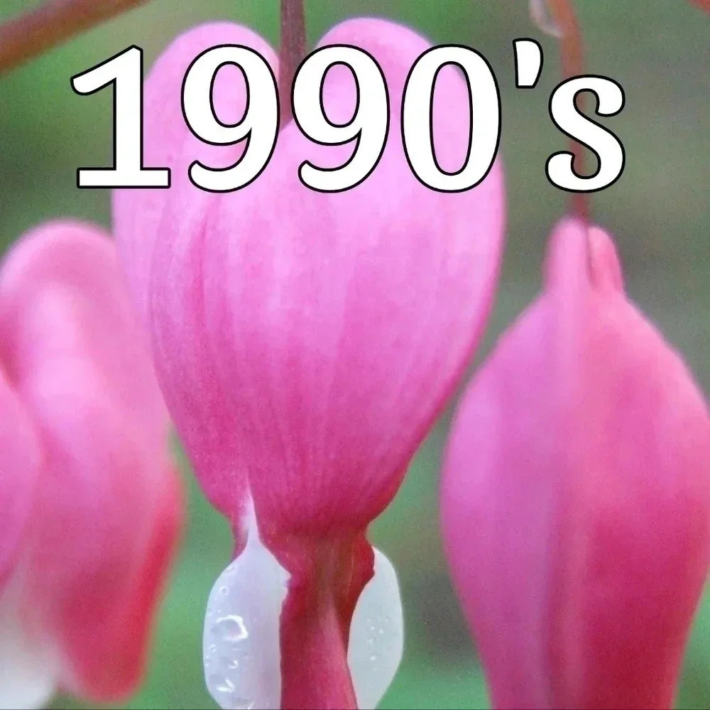 We have the 1990's